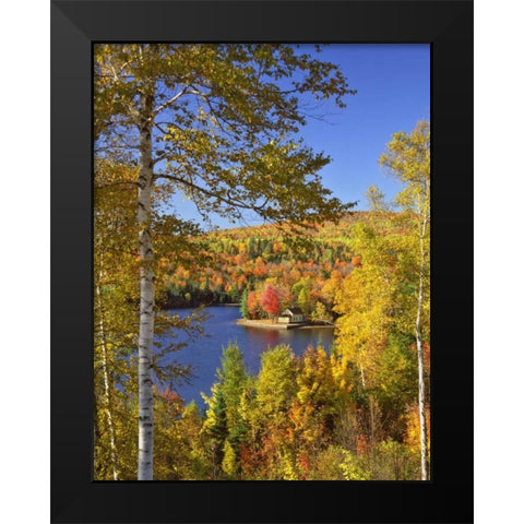USA, Maine, Bingham Wyman Lake and autumn colors Black Modern Wood Framed Art Print by Terrill, Steve
