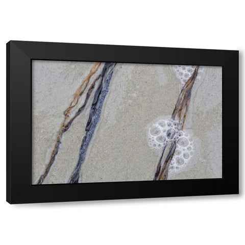 USA, Maine, Pine Point Sea weed between waves Black Modern Wood Framed Art Print by Delisle, Gilles