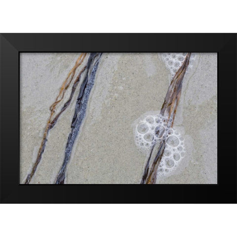USA, Maine, Pine Point Sea weed between waves Black Modern Wood Framed Art Print by Delisle, Gilles