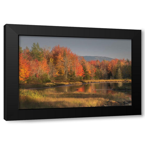 USA-Maine-Acadia National Park Black Modern Wood Framed Art Print by Jaynes Gallery