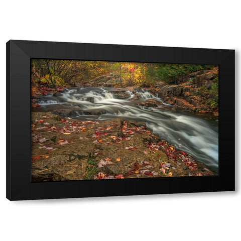 USA-Maine-Acadia National Park Stream rapids in forest Black Modern Wood Framed Art Print by Jaynes Gallery