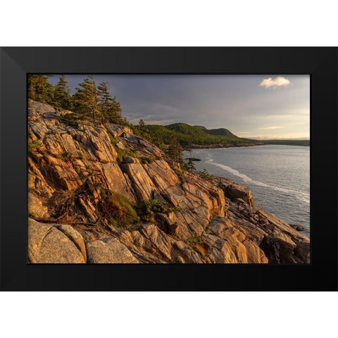 Otter Cliffs at sunrise in Acadia National Park-Maine-USA Black Modern Wood Framed Art Print by Haney, Chuck