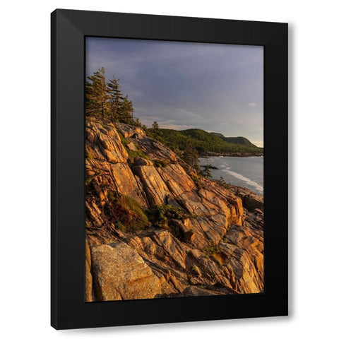 Otter Cliffs at sunrise in Acadia National Park-Maine-USA Black Modern Wood Framed Art Print by Haney, Chuck