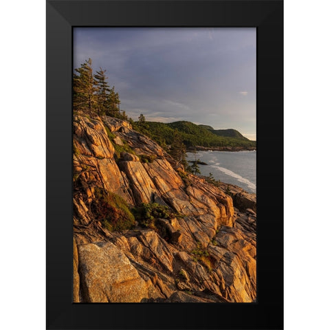 Otter Cliffs at sunrise in Acadia National Park-Maine-USA Black Modern Wood Framed Art Print by Haney, Chuck