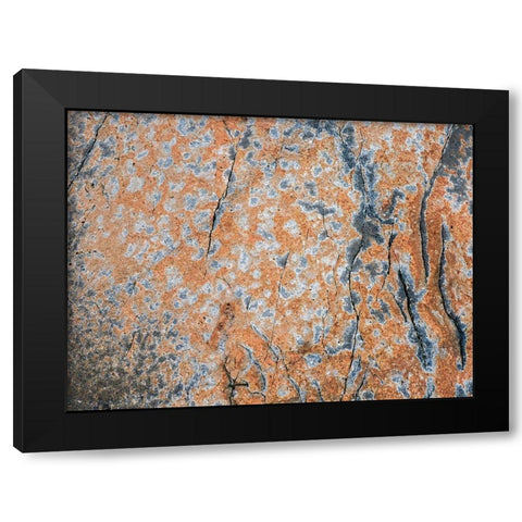 Maine Patterns on rock on the beach near Thunder Hole in Acadia National Park Black Modern Wood Framed Art Print with Double Matting by Eggers, Julie