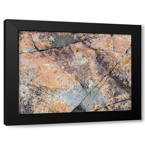 Maine Patterns on rock on the beach near Thunder Hole in Acadia National Park Black Modern Wood Framed Art Print by Eggers, Julie
