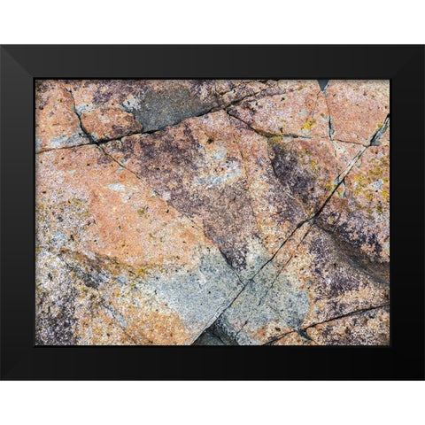 Maine Patterns on rock on the beach near Thunder Hole in Acadia National Park Black Modern Wood Framed Art Print by Eggers, Julie