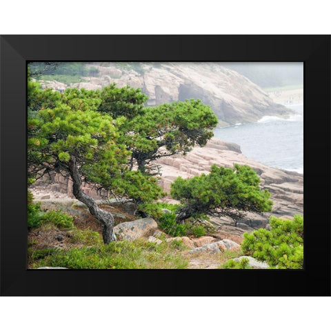 Maine Otter Cliffs and the Atlantic Ocean in Acadia National Park Black Modern Wood Framed Art Print by Eggers, Julie