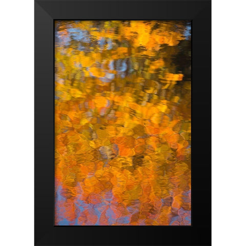Maine Abstract reflections in a pond in Acadia National Park Black Modern Wood Framed Art Print by Wells, Joanne