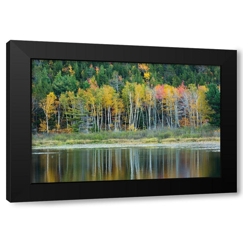 Maine Fall reflections at Beaver Dam Pond in Acadia National Park Black Modern Wood Framed Art Print with Double Matting by Wells, Joanne