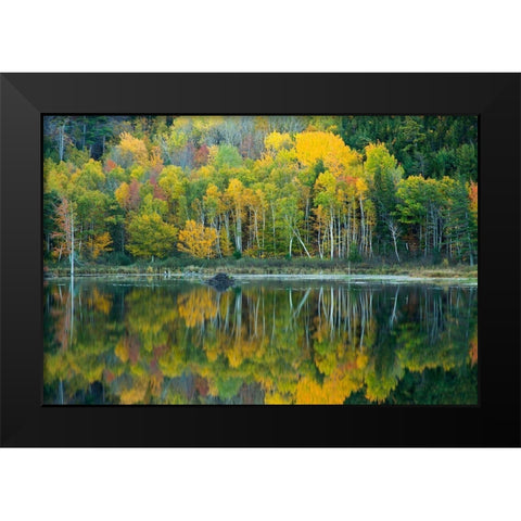 Maine Reflections at Beaver Dam Pond in Acadia National Park Black Modern Wood Framed Art Print by Wells, Joanne