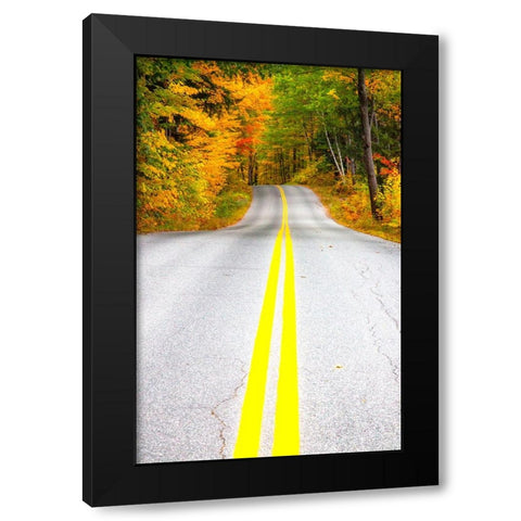 USA-Maine-Highway 113 lined by Maple and Birch trees in full Autumn color Black Modern Wood Framed Art Print with Double Matting by Gulin, Sylvia