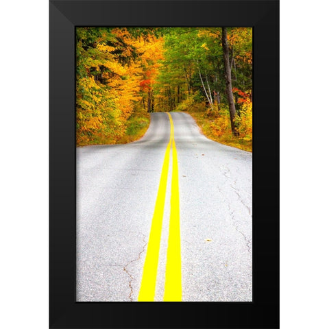 USA-Maine-Highway 113 lined by Maple and Birch trees in full Autumn color Black Modern Wood Framed Art Print by Gulin, Sylvia