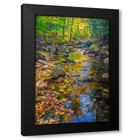 USA-New England-Maine Autumn and stream just off of Wild River Road Black Modern Wood Framed Art Print by Gulin, Sylvia