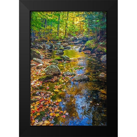 USA-New England-Maine Autumn and stream just off of Wild River Road Black Modern Wood Framed Art Print by Gulin, Sylvia