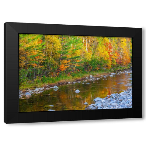 USA-New England-Maine-Wild River-reflections of Autumn colors in small river Black Modern Wood Framed Art Print by Gulin, Sylvia
