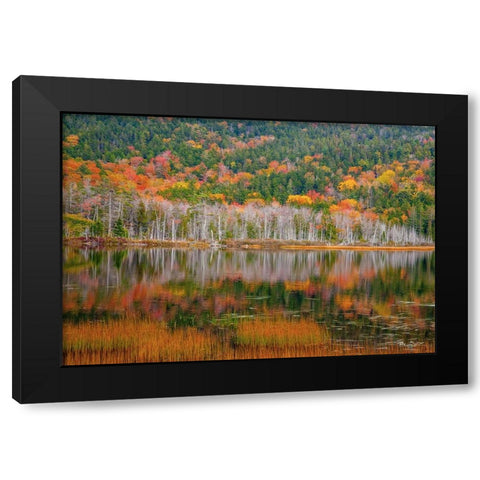USA-New England-Maine-Mt-Desert Island-Acadia National Park with small lake with hillsides in Autum Black Modern Wood Framed Art Print with Double Matting by Gulin, Sylvia