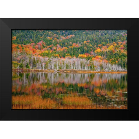 USA-New England-Maine-Mt-Desert Island-Acadia National Park with small lake with hillsides in Autum Black Modern Wood Framed Art Print by Gulin, Sylvia