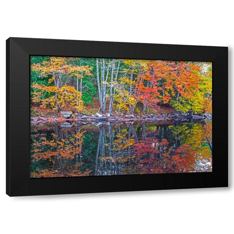 USA-New England-Maine-Lake with Fall colors reflected in calm water Black Modern Wood Framed Art Print by Gulin, Sylvia