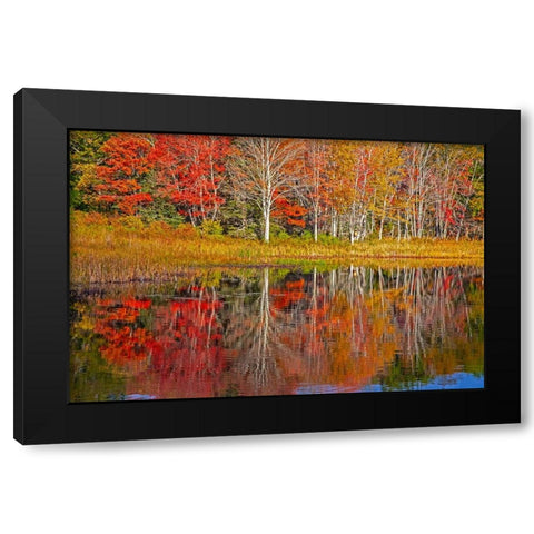 USA-New England-Maine-Lake with Fall colors reflected in calm water Black Modern Wood Framed Art Print with Double Matting by Gulin, Sylvia