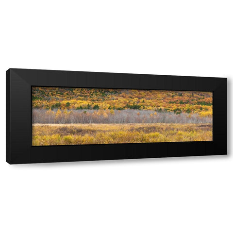 Maine-Mt Desert Island-Acadia National Park-autumn foliage Black Modern Wood Framed Art Print by Bibikow, Walter
