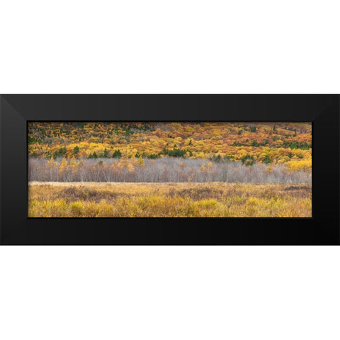 Maine-Mt Desert Island-Acadia National Park-autumn foliage Black Modern Wood Framed Art Print by Bibikow, Walter