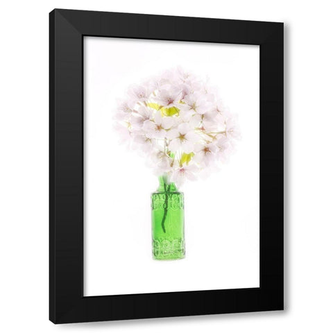 Maryland-Bethesda Green vase with cherry blossoms Black Modern Wood Framed Art Print with Double Matting by Looney, Hollice