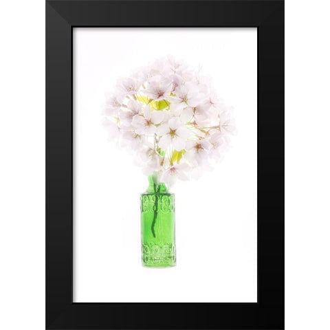 Maryland-Bethesda Green vase with cherry blossoms Black Modern Wood Framed Art Print by Looney, Hollice