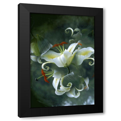 NY, Slingerlands Abstract of lily bouquet Black Modern Wood Framed Art Print with Double Matting by Noble Gardner, Nancy
