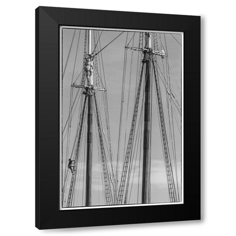 New England-Massachusetts-Cape Ann-Gloucester-Gloucester Schooner Festival-schooner masts Black Modern Wood Framed Art Print with Double Matting by Bibikow, Walter
