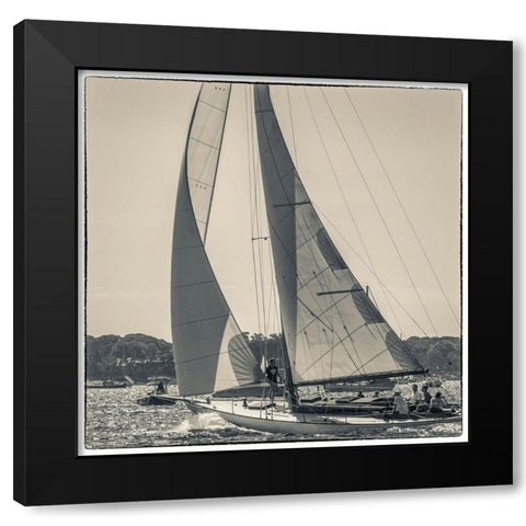 New England-Massachusetts-Cape Ann-Gloucester-Gloucester Schooner Festival-schooner parade of sail Black Modern Wood Framed Art Print with Double Matting by Bibikow, Walter