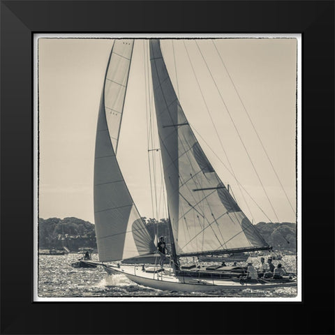 New England-Massachusetts-Cape Ann-Gloucester-Gloucester Schooner Festival-schooner parade of sail Black Modern Wood Framed Art Print by Bibikow, Walter
