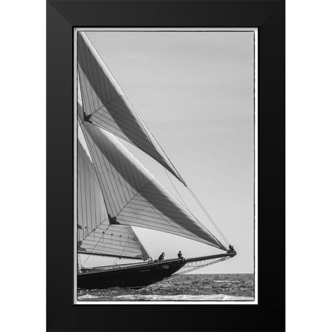New England-Massachusetts-Cape Ann-Gloucester-Gloucester Schooner Festival-schooner parade of sail Black Modern Wood Framed Art Print by Bibikow, Walter