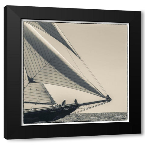 New England-Massachusetts-Cape Ann-Gloucester-Gloucester Schooner Festival-schooner parade of sail Black Modern Wood Framed Art Print by Bibikow, Walter
