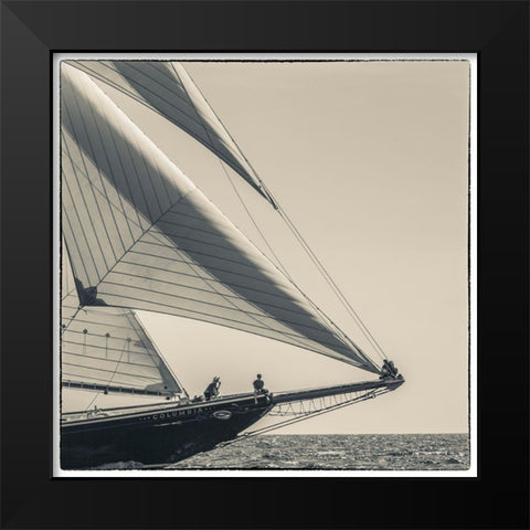 New England-Massachusetts-Cape Ann-Gloucester-Gloucester Schooner Festival-schooner parade of sail Black Modern Wood Framed Art Print by Bibikow, Walter