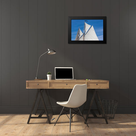 New England-Massachusetts-Cape Ann-Gloucester-Gloucester Schooner Festival-schooner sails Black Modern Wood Framed Art Print by Bibikow, Walter