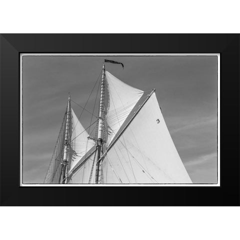 New England-Massachusetts-Cape Ann-Gloucester-Gloucester Schooner Festival-schooner sails Black Modern Wood Framed Art Print by Bibikow, Walter