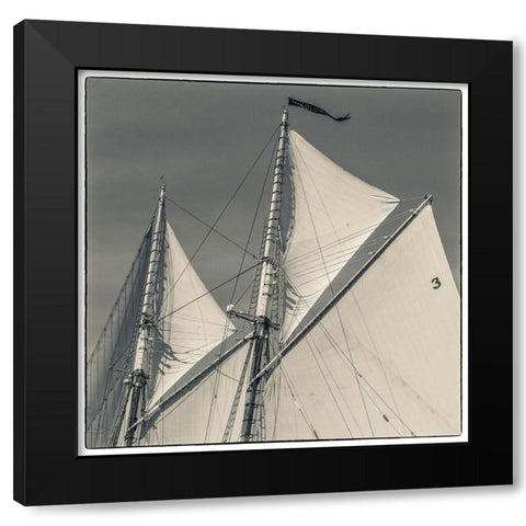 New England-Massachusetts-Cape Ann-Gloucester-Gloucester Schooner Festival-schooner sails Black Modern Wood Framed Art Print with Double Matting by Bibikow, Walter