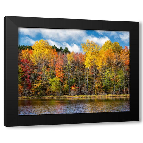 USA-Michigan-Upper Peninsula-Munising Autumn trees at Thornton Lake Black Modern Wood Framed Art Print by Collins, Ann
