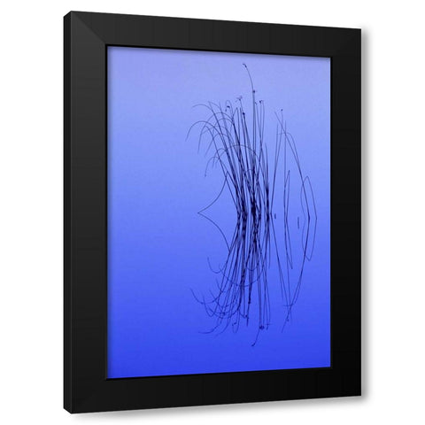 MI, Cluster of soft rushes reflects in a lake Black Modern Wood Framed Art Print with Double Matting by Carlson, Mark