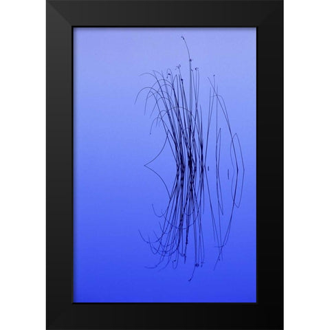 MI, Cluster of soft rushes reflects in a lake Black Modern Wood Framed Art Print by Carlson, Mark