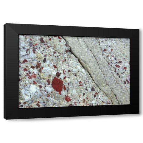 MI, Drummond Island, Close up of patterns in rock Black Modern Wood Framed Art Print by Carlson, Mark