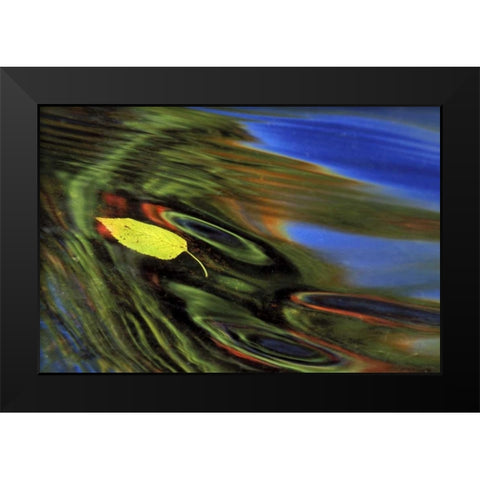 MI, Birch leaf in river with autumn reflections Black Modern Wood Framed Art Print by Carlson, Mark