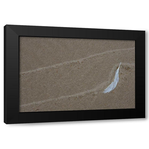 MI, Gull feather and wave lines on Lake Michigan Black Modern Wood Framed Art Print with Double Matting by Carlson, Mark