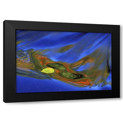 MI, birch leaf in river current in autumn Black Modern Wood Framed Art Print by Carlson, Mark