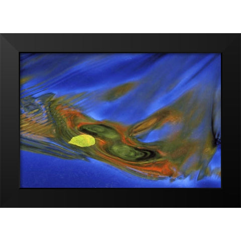 MI, birch leaf in river current in autumn Black Modern Wood Framed Art Print by Carlson, Mark