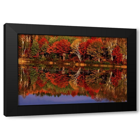 United States, MI, Fall reflects in Thornton Lake Black Modern Wood Framed Art Print by Welling, Dave