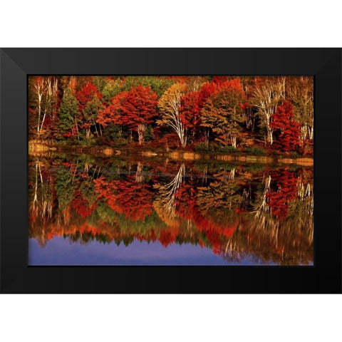 United States, MI, Fall reflects in Thornton Lake Black Modern Wood Framed Art Print by Welling, Dave