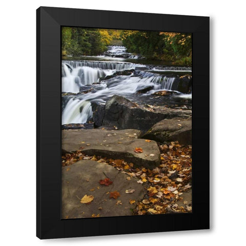Michigan Bond Falls and fall foliage Black Modern Wood Framed Art Print by Rotenberg, Nancy
