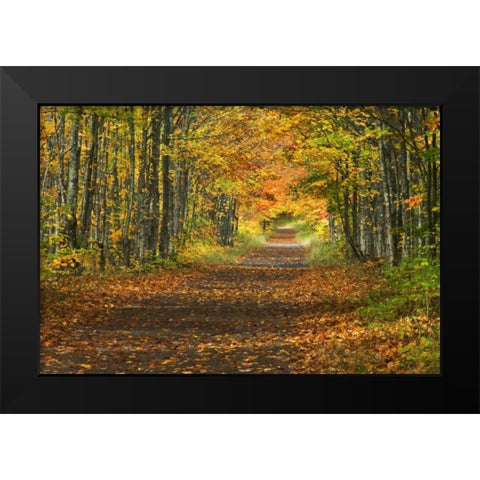 Michigan Roadway into fall foliage Black Modern Wood Framed Art Print by Rotenberg, Nancy
